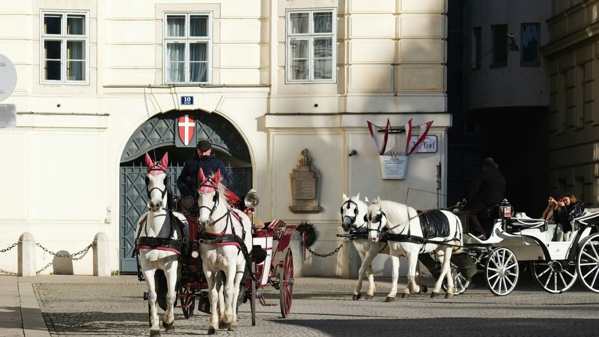 A group of horses pulling a carriage down a street