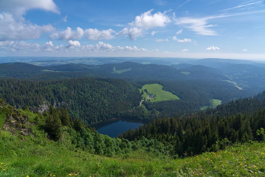Schwarzwald