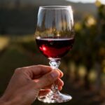 Glas Rotwein in Hand vor Weinberg