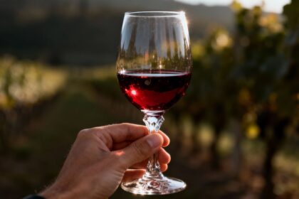 Glas Rotwein in Hand vor Weinberg