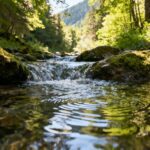 Klares Wasser fließt über Felsen im Wald.
