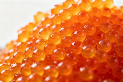 Orange masago fish roe close-up