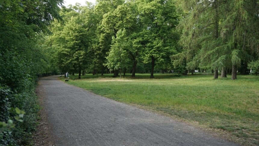 A winding path leads through a green park.